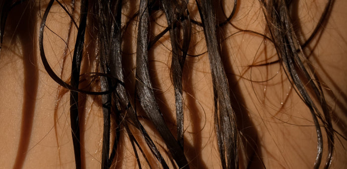 Shampoo til normalt hår med mild, effektiv rens og volumen